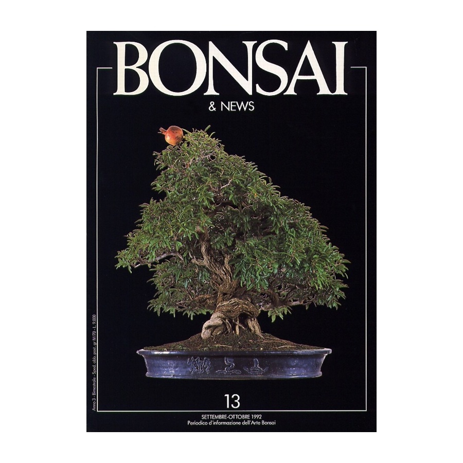 BONSAI & NEWS 13 - SET-OTT 1992