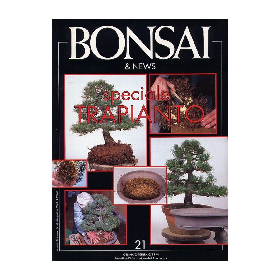 BONSAI & NEWS 21 SPECIALE TRAPIANTO - GEN-FEB 1994